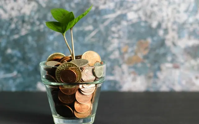 A small green plant growing out of a glass jar full of coins
