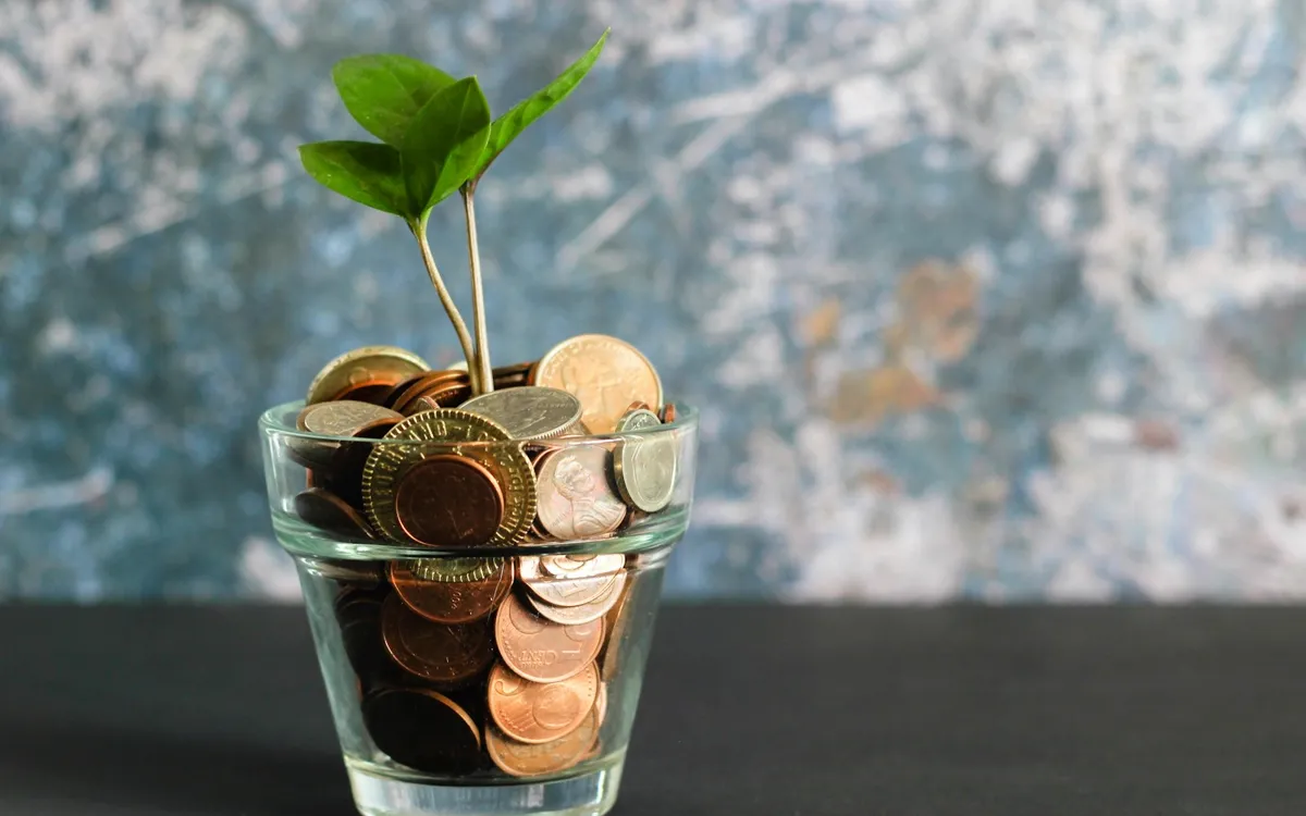 A small green plant growing out of a glass jar full of coins